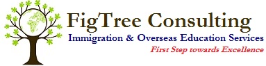 FigTree Consulting